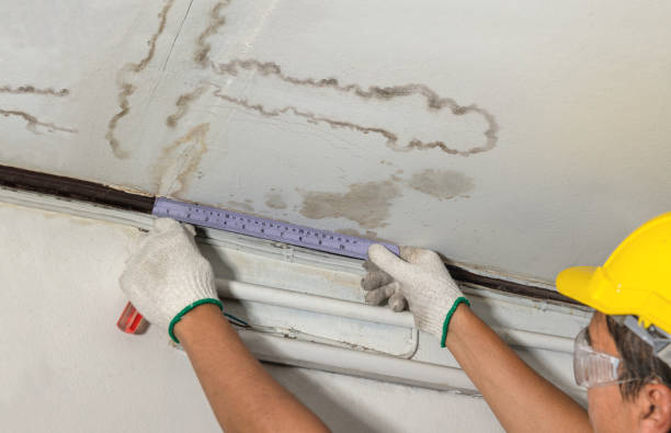 Reliable Structural Drying contractor in Elsie, MI by Water Damage Irwin